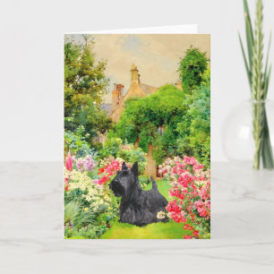 Scottish Terrier Julkort Kort