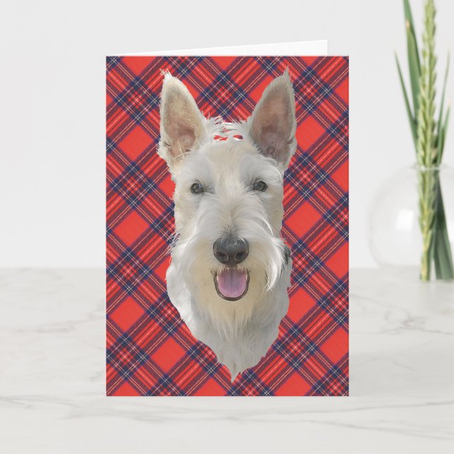 Scottish Terrier Julkort Kort (Framsida)