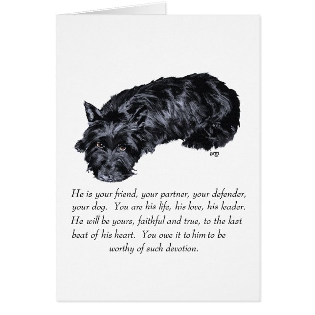 Scottish Terrier Keepsakes - MALE Hälsningskort (Framsidan)