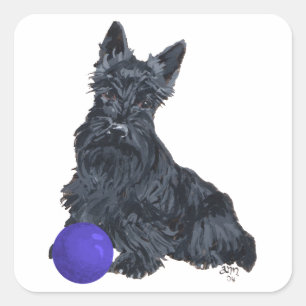 Scottish Terrier leker med mig! Fyrkantigt Klistermärke