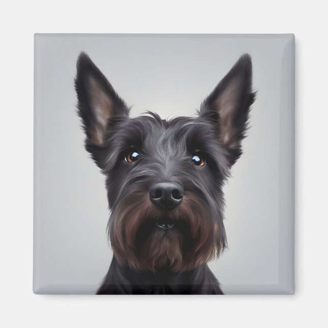 Scottish Terrier Magnet (Framsidan)