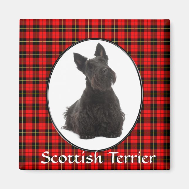 Scottish Terrier Magnet (Framsidan)