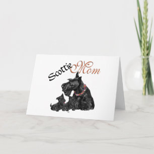 Scottish Terrier Mamma & Valpar Kort