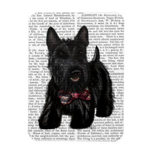 Scottish Terrier och Bow Magnet