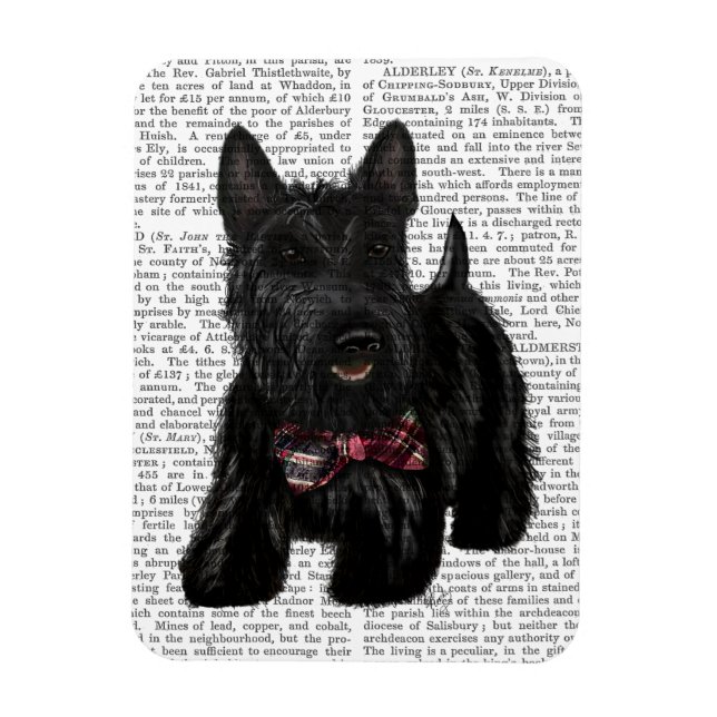 Scottish Terrier och Bow Magnet (Vertikal)