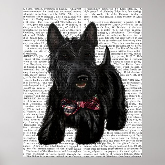 Scottish Terrier och Bow Poster (Framsidan)