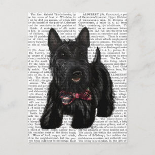Scottish Terrier och Bow Vykort