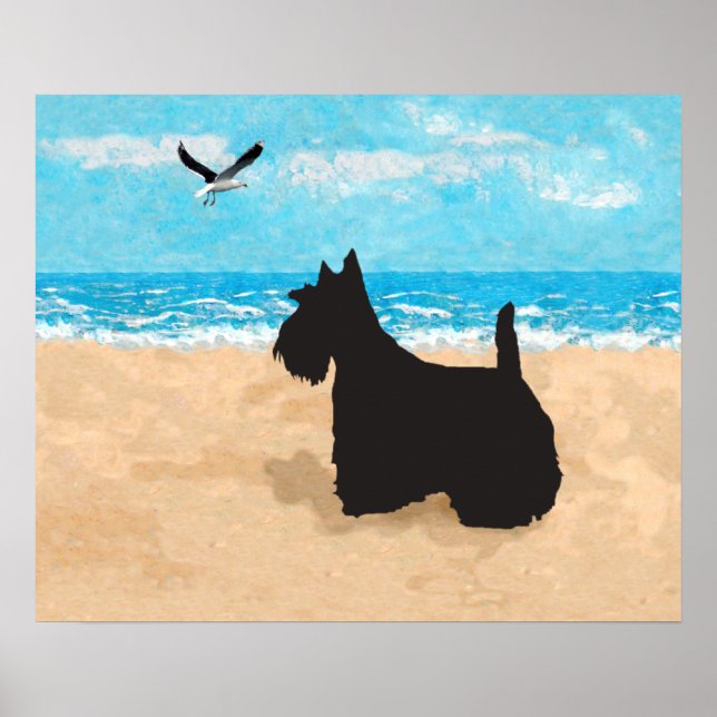 Scottish Terrier och Fiskmås Poster (Framsidan)