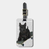 Scottish Terrier och Skateboard