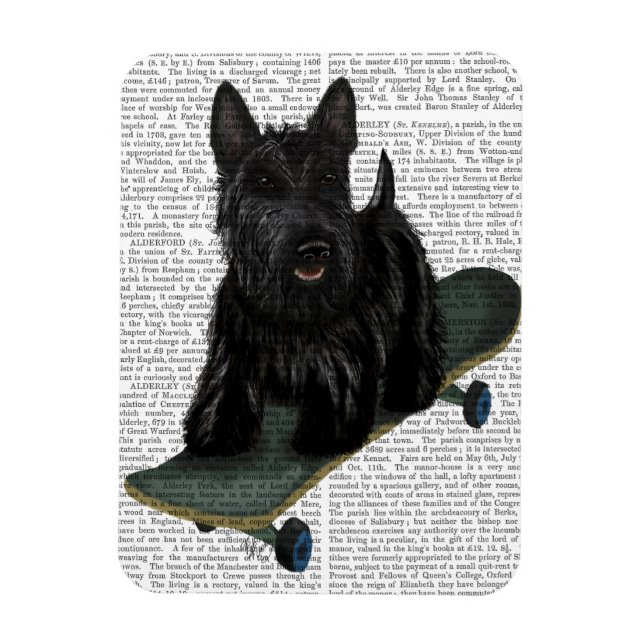 Scottish Terrier och Skateboard Magnet (Vertikal)