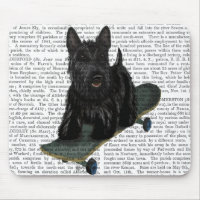 Scottish Terrier och Skateboard
