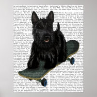 Scottish Terrier och Skateboard