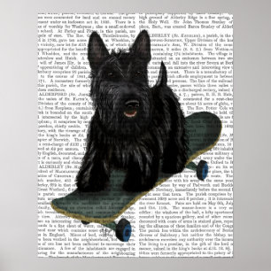 Scottish Terrier och Skateboard Poster
