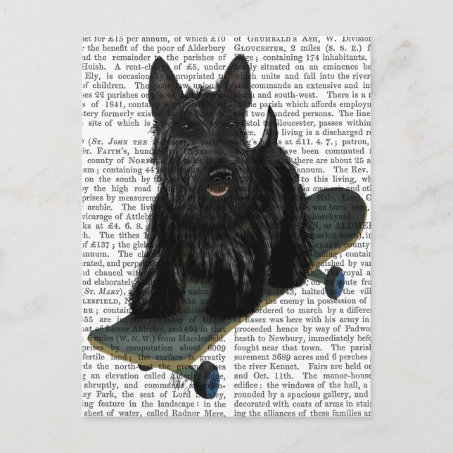 Scottish Terrier och Skateboard Vykort (Framsida)