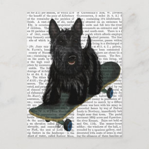 Scottish Terrier och Skateboard Vykort
