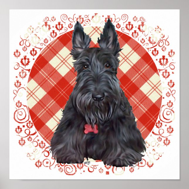 Scottish Terrier på Tartan Poster (Framsidan)
