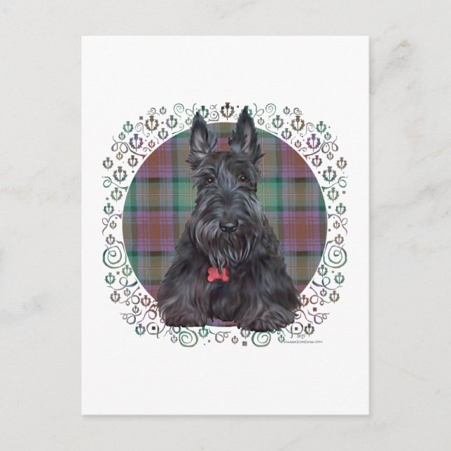 Scottish Terrier på Tartan Vykort (Framsida)