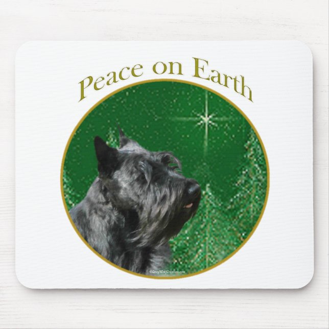 Scottish Terrier Peace Musmatta (Framsidan)