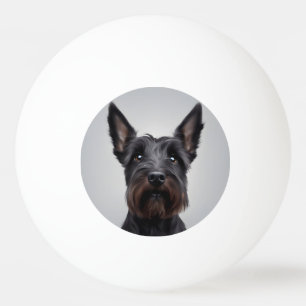 Scottish Terrier Pingisboll