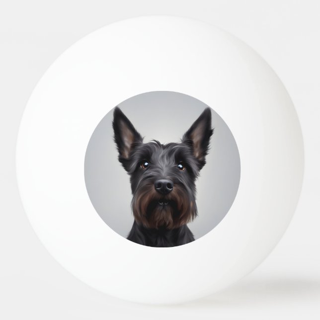 Scottish Terrier Pingisboll (Framsidan)