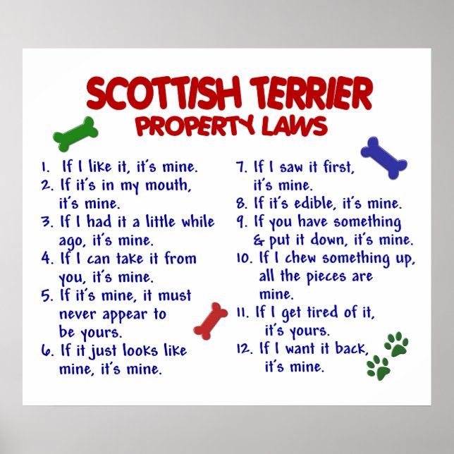 SCOTTISH TERRIER PL2 POSTER (Framsidan)
