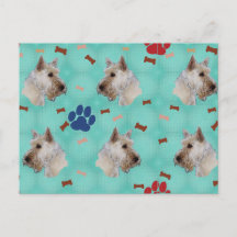 Scottish Terrier Porträtt