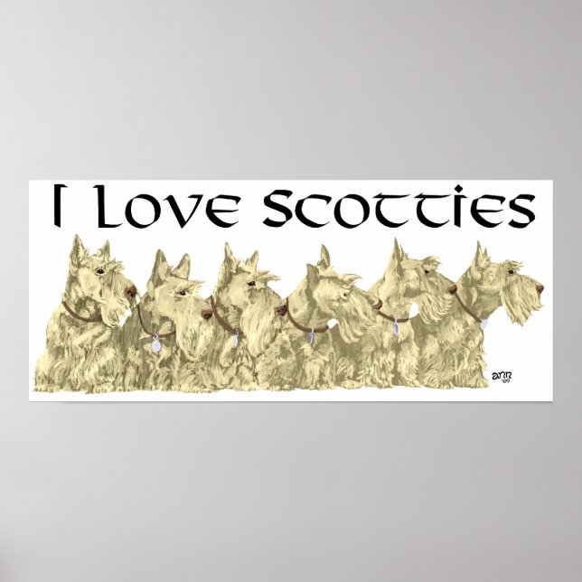 Scottish Terrier Poster (Framsidan)