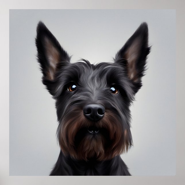 Scottish Terrier Poster (Framsidan)