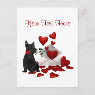 Scottish Terrier Puppy Röd ros Valentine Design Helg Vykort