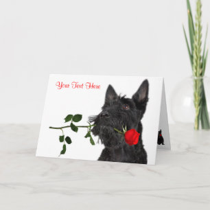 Scottish Terrier Puppy Röd ros Valentine Design Helgkort