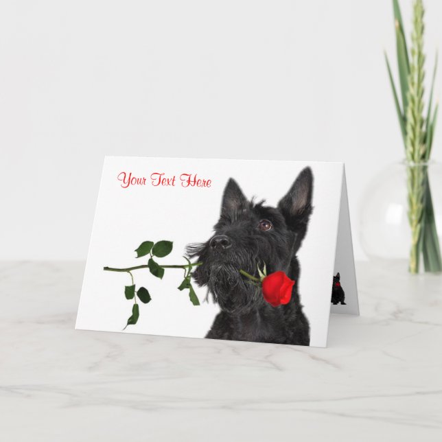 Scottish Terrier Puppy Röd ros Valentine Design Helgkort (Framsida)