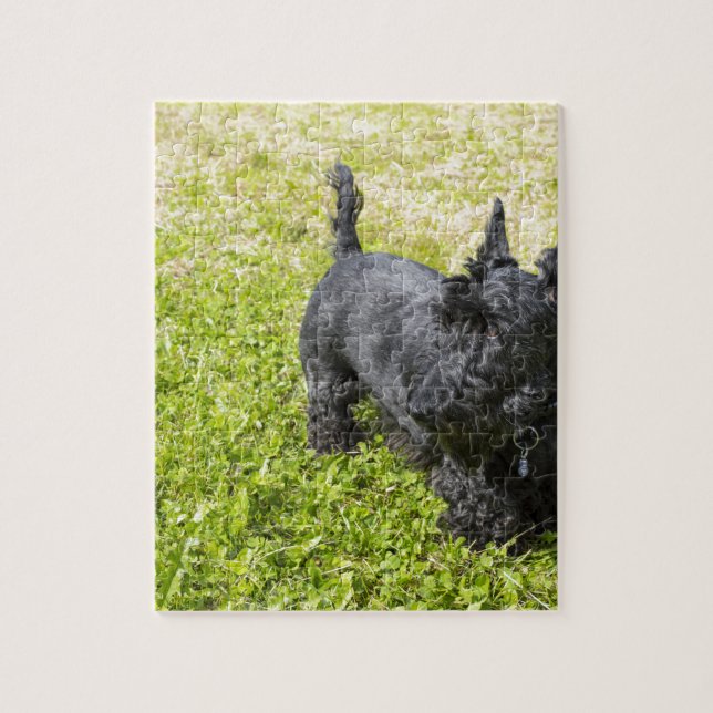 Scottish Terrier Pussel (Vertikal)