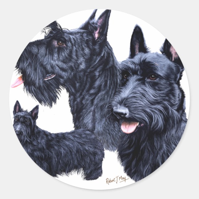 Scottish Terrier Runt Klistermärke (Framsida)