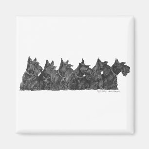 Scottish Terrier-samling Magnet