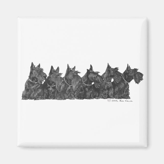 Scottish Terrier-samling Magnet (Framsidan)