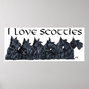 Scottish Terrier-samling Poster