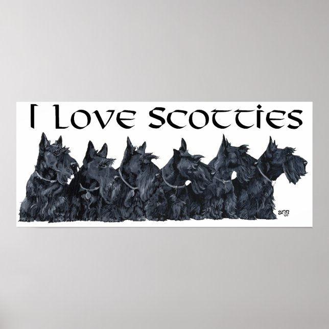 Scottish Terrier-samling Poster (Framsidan)
