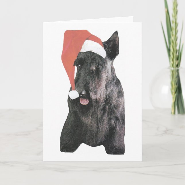 Scottish Terrier Santa Hat jul Helgkort (Framsida)