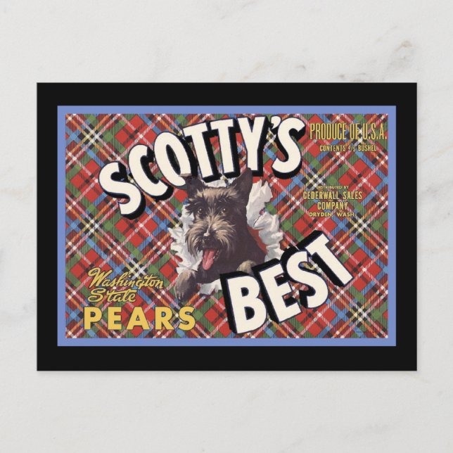 Scottish Terrier Scottys Best Hund Vykort (Framsida)