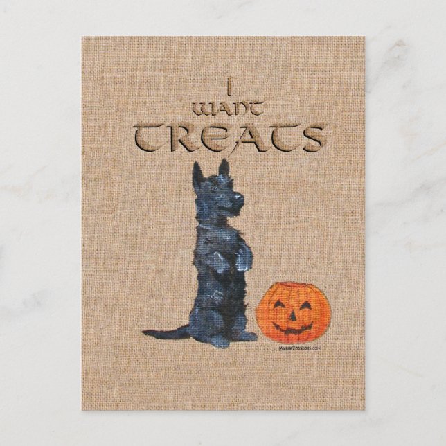 Scottish Terrier Sits Up for Treats! Vykort (Framsida)