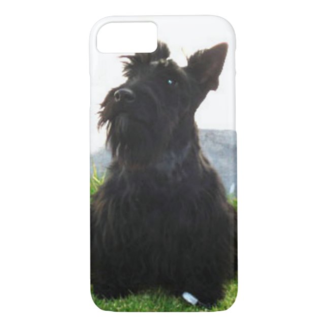 Scottish_Terrier sitting.png Case-Mate iPhone Skal (Baksida)