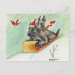 Scottish Terrier Sleigh Ride Art Postcard Vykort