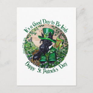 Scottish Terrier St. Patrick's Day Vykort