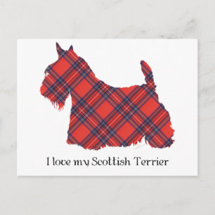 Scottish Terrier Stewart Tartan Vykort