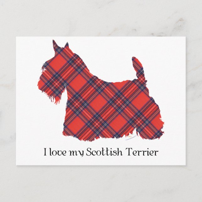 Scottish Terrier Stewart Tartan Vykort (Framsida)