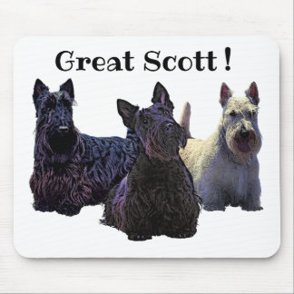 Scottish Terrier, svart/vit trio, Underbar Scott! Musmatta