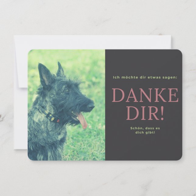 Scottish Terrier  Tack Kort (Framsida)