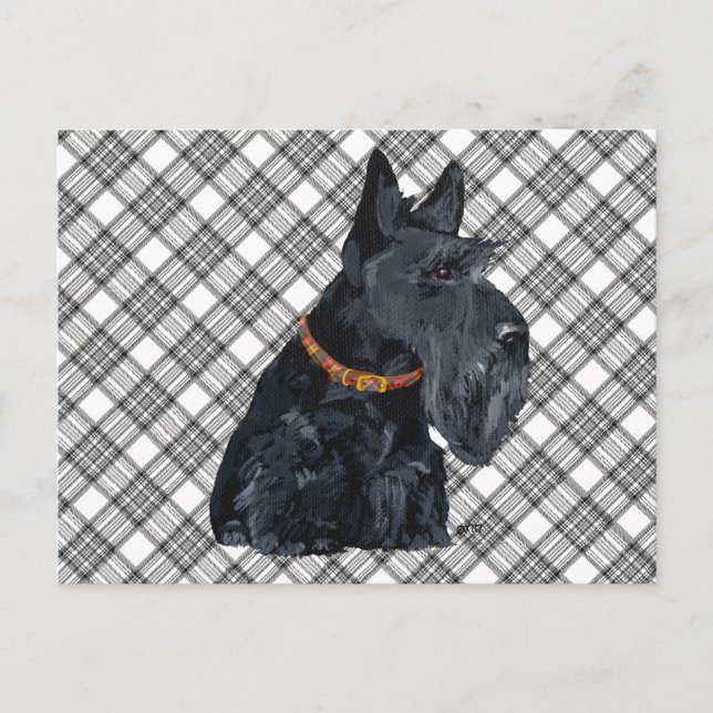 Scottish Terrier Tartan Card Vykort (Framsida)