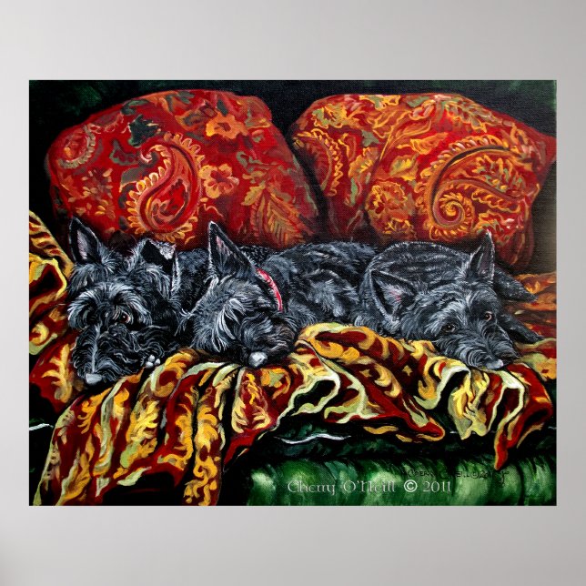 Scottish Terrier Trio Poster (Framsidan)