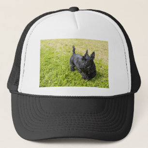 Scottish Terrier Truckerkeps